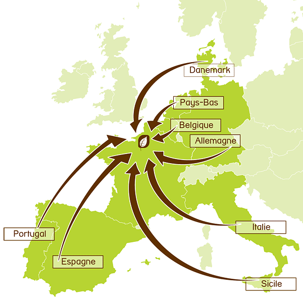 Producteur de plantes en Europe