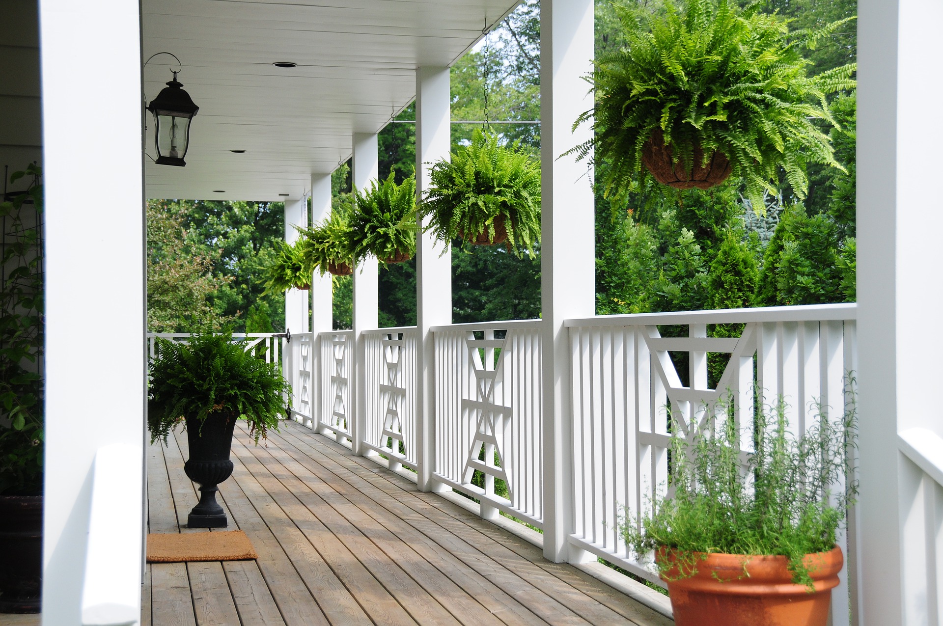 Les plantes pour balcons et terrasse
