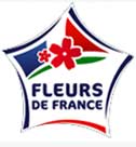 logo-fleur-de-france